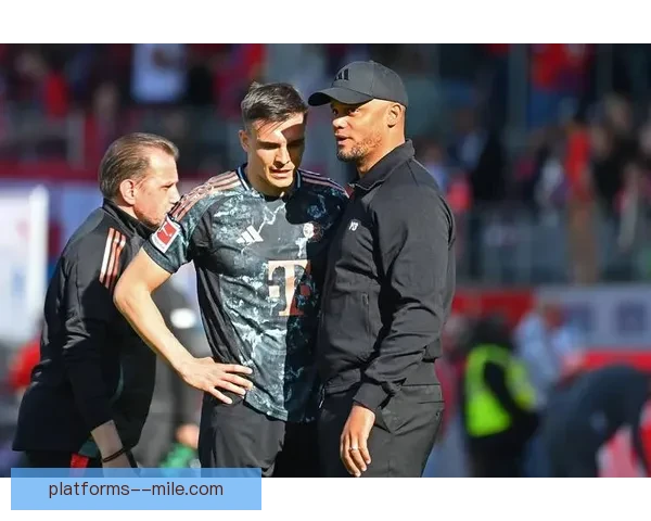 富勒姆完成夏季转会引援 签下法甲边后卫主力强化防线