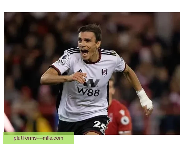 拜仁慕尼黑正式签下富勒姆中场帕利尼亚转会尘埃落定